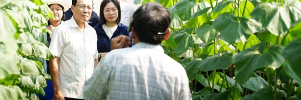 Liên hiệp Hội thành phố tăng cường hợp tác, kết nối chuyển giao tiến bộ khoa học kỹ thuật trong nông nghiệp